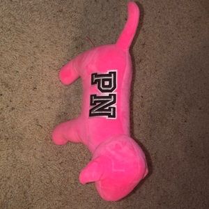 VS Pink dog
